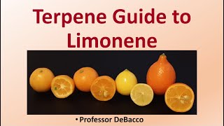 Terpene Guide to Limonene [upl. by Maren]