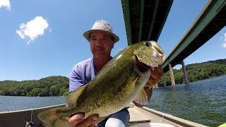 Live Shiners For Big Bass [upl. by Einoj573]