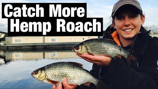 How To Catch More HEMP Roach  Stainforth amp Keadby Canal Thorne [upl. by Nicolas]