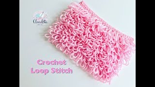 CROCHET LOOP STITCH  Beginner [upl. by Gassman676]