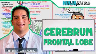 Febrile Seizures  Etiology Pathophysiology Clinical Features Treatment [upl. by Sadirah]