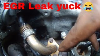 Audi A4 EGR Leaking [upl. by Lacefield]