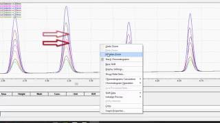 LabSolutions LCGC Workstation Basic Data Analysis [upl. by Ingaborg663]