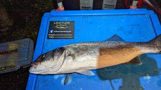 Bass fishing in the Menai Straits [upl. by Nylidnarb313]