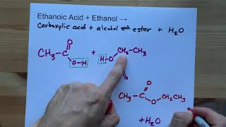 Ethanoic Acid  Ethanol   Ester Reaction [upl. by Shay411]