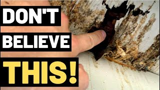 THE TRUTH ABOUT WOOD ROT You need to watch this [upl. by Dnalkrik]