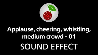 🎧 Applause cheering whistling medium crowd  01 SOUND EFFECT [upl. by Sanjay]