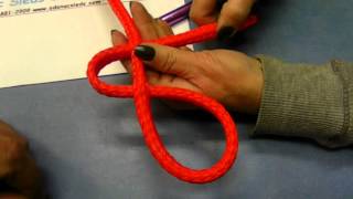 Make Dog Ropes Lines and Leashes [upl. by Ffilc]