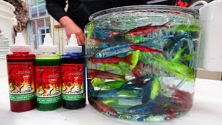 Epic Baits Learn to Fire Dye Live Minnows [upl. by Aisyram]