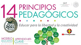 14 Principios Pedagógicos Nuevo Modelo Educativo 2021  Primer Dominio [upl. by Naitsirhc780]