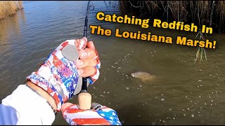 Catching Redfish In The Louisiana Marsh  Flats Class YouTube [upl. by Aivatnahs]