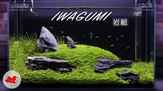 Iwagumi aquascaping 60l [upl. by Atikahc197]