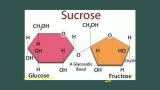 Oligosaccharides  Carbohydrates  Biochemistry [upl. by Rahel]