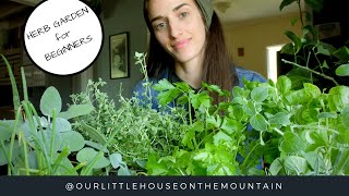 HERB GARDENS BEGINNERS GUIDE  HOW TO  GARDEN BASICS [upl. by Sumerlin]