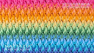 HOW to CROCHET ALPINE STITCH  Stitchorama by Naztazia [upl. by Vatsug]