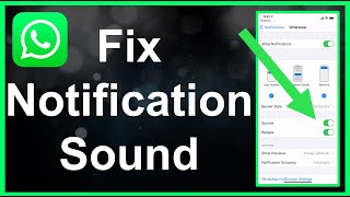 How To Fix Whatsapp Status Problem Solve [upl. by Morgun320]