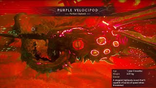 Warframe  Purple Velocipod Spawn Locations [upl. by Lothar793]