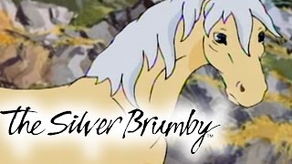 The Silver Brumby  Episodes 610 2 HOUR COMPILATION HD  Full Episode [upl. by Barcus]