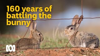 160 year battle against one of Australias worst invasives 🐇  Meet the Ferals Ep 6  ABC Australia [upl. by Bbor443]