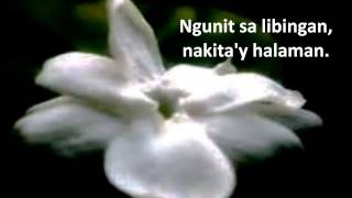 Mabuhay Singers  Sampaguita with Lyrics [upl. by Eliga]