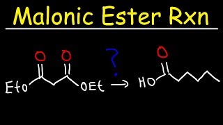 Malonic Ester Synthesis Reaction Mechanism [upl. by Malcom]