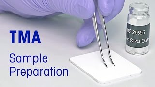 Tips for TMA sample preparation [upl. by Mosera295]