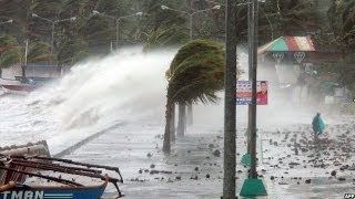 TYPHOON HAIYAN BATTERS THE PHILIPPINES  BBC NEWS [upl. by Nodaj283]