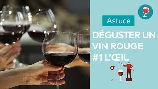 Astuce  Comment déguster un vin rouge  Partie 1 oeil [upl. by Ytoc]