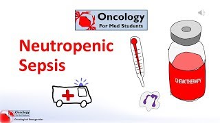 Intramembranous Ossification [upl. by Kensell]