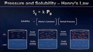 Henrys Law and Gas Solubility Explained [upl. by Nylarahs687]