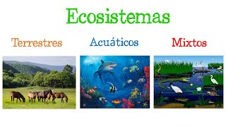 🌎 Los ECOSISTEMAS y sus TIPOS 🐝 Fácil y Rápido  BIOLOGÍA [upl. by Nellir]