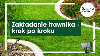 Zakładanie trawnika w 7 krokach [upl. by Senskell]