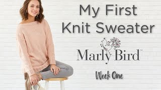 BEGINNER My First Knit Sweater  Week 1 [upl. by Lrub242]