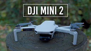 DJI Mini 2 Drone  Handson Review [upl. by Kimball]