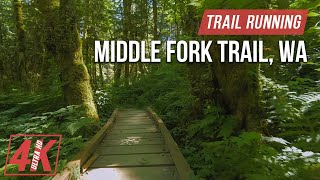 Trail Running along Middle Fork Trail  4K Virtual Forest Run for Treadmill Workout Nature Sounds [upl. by Sarat]