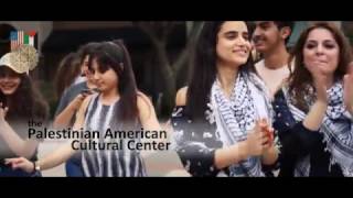 Flash Mob Dabke Style Houston TX 2017 [upl. by Ainitsirhc244]