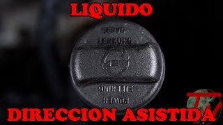 Comprobar y rellenar liquido direccion asistida 🛠 [upl. by Retsila608]