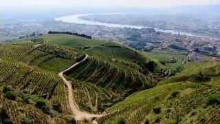 Discover The Wines of the Rhone Valley Part 1 of 3 [upl. by Einahpats]