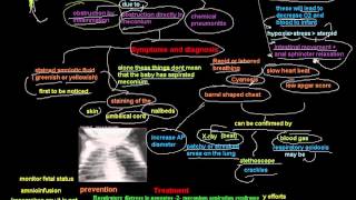 Respiratory Distress in neonates 2 meconium aspiration syndrome [upl. by Owades]