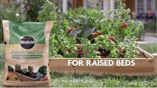 How to Use MiracleGro® Raised Bed Garden Soil [upl. by Eartnoed53]