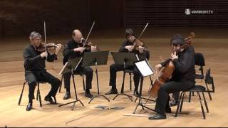 Franz Schubert String Quintet in C Major D 956 [upl. by Mallina927]