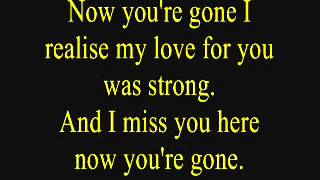 Basshunter  Now Youre Gone Lyrics [upl. by Aynnek549]