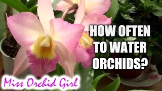 How often should Orchids be watered [upl. by Onileva]