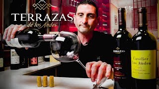 Terrazas de los Andes Malbec  Argentina Wine Review [upl. by Eissim402]