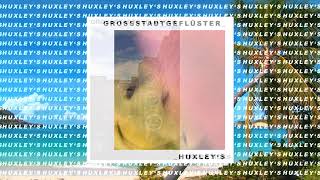 GROSSSTADTGEFLÜSTER  HUXLEY´S OFFICIAL AUDIO [upl. by Still]