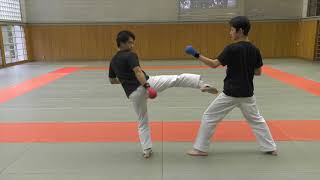 【KARATE TUTORIAL】Kumite Tactics Against Bigger Opponents [upl. by Cohleen]