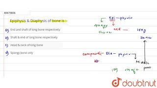 Epiphysis amp Diaphysis of bone is [upl. by Hsetim]