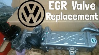 Volkswagen EGR Valve Replacement  How To [upl. by Aisital652]