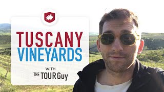 How to visit Vineyards in Tuscany [upl. by Al]