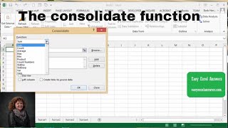 How to use the consolidate function in Excel [upl. by Jeffrey340]